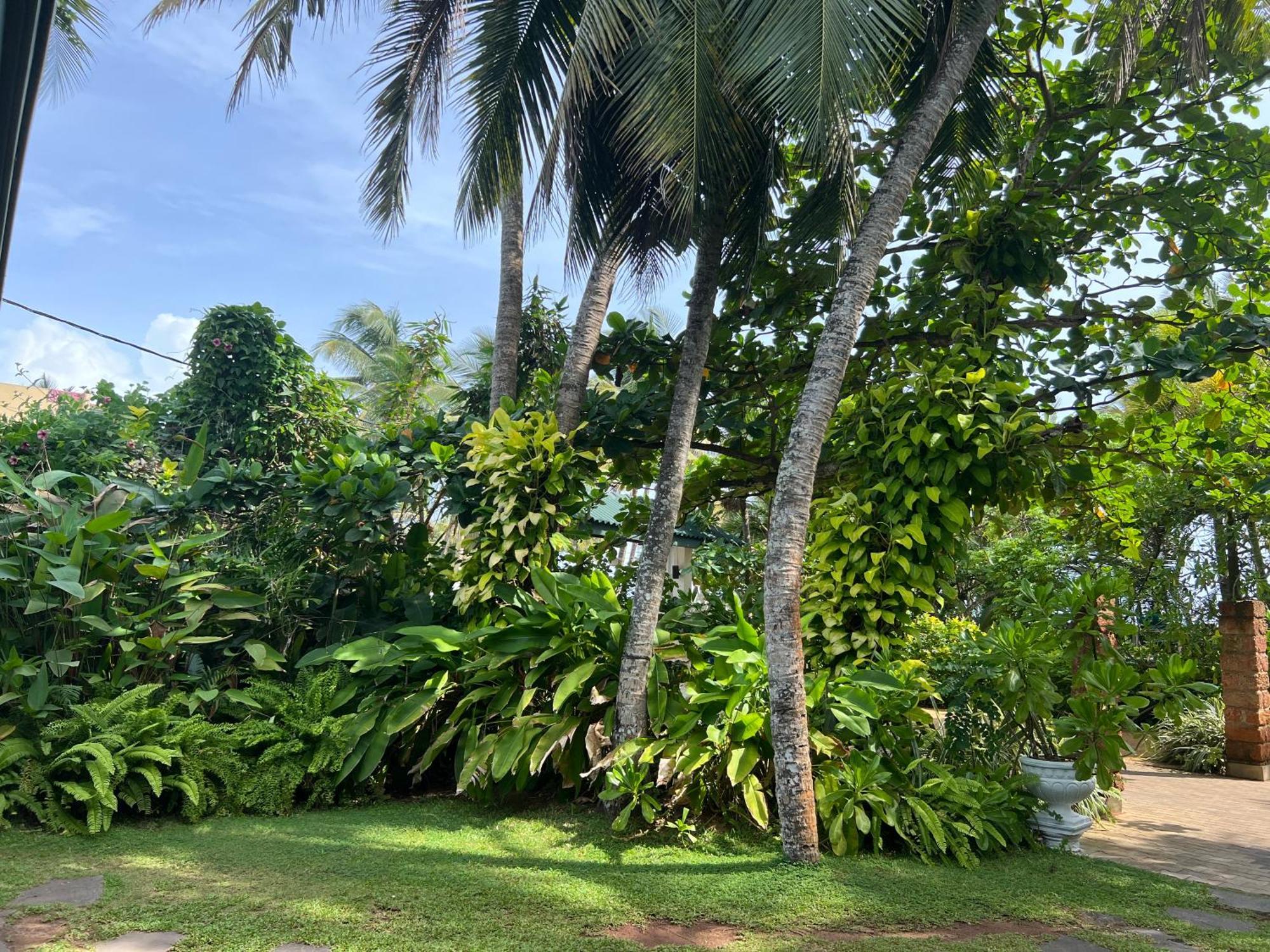 Lohas Beach Resort Villa Kalutara Extérieur photo