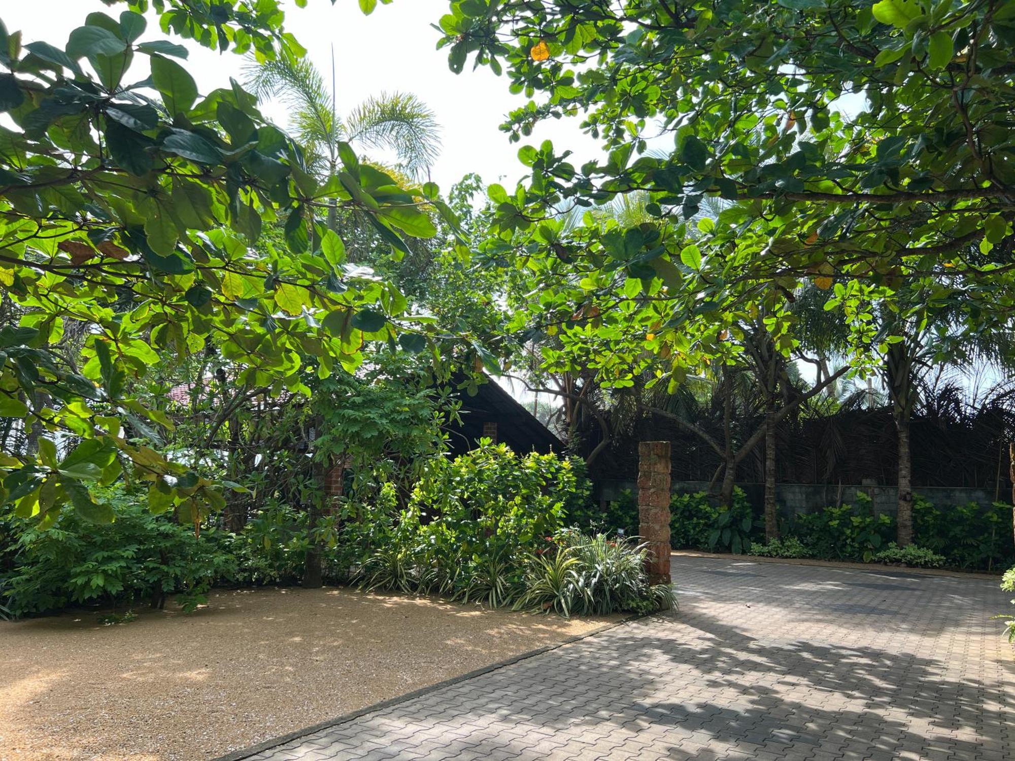 Lohas Beach Resort Villa Kalutara Extérieur photo