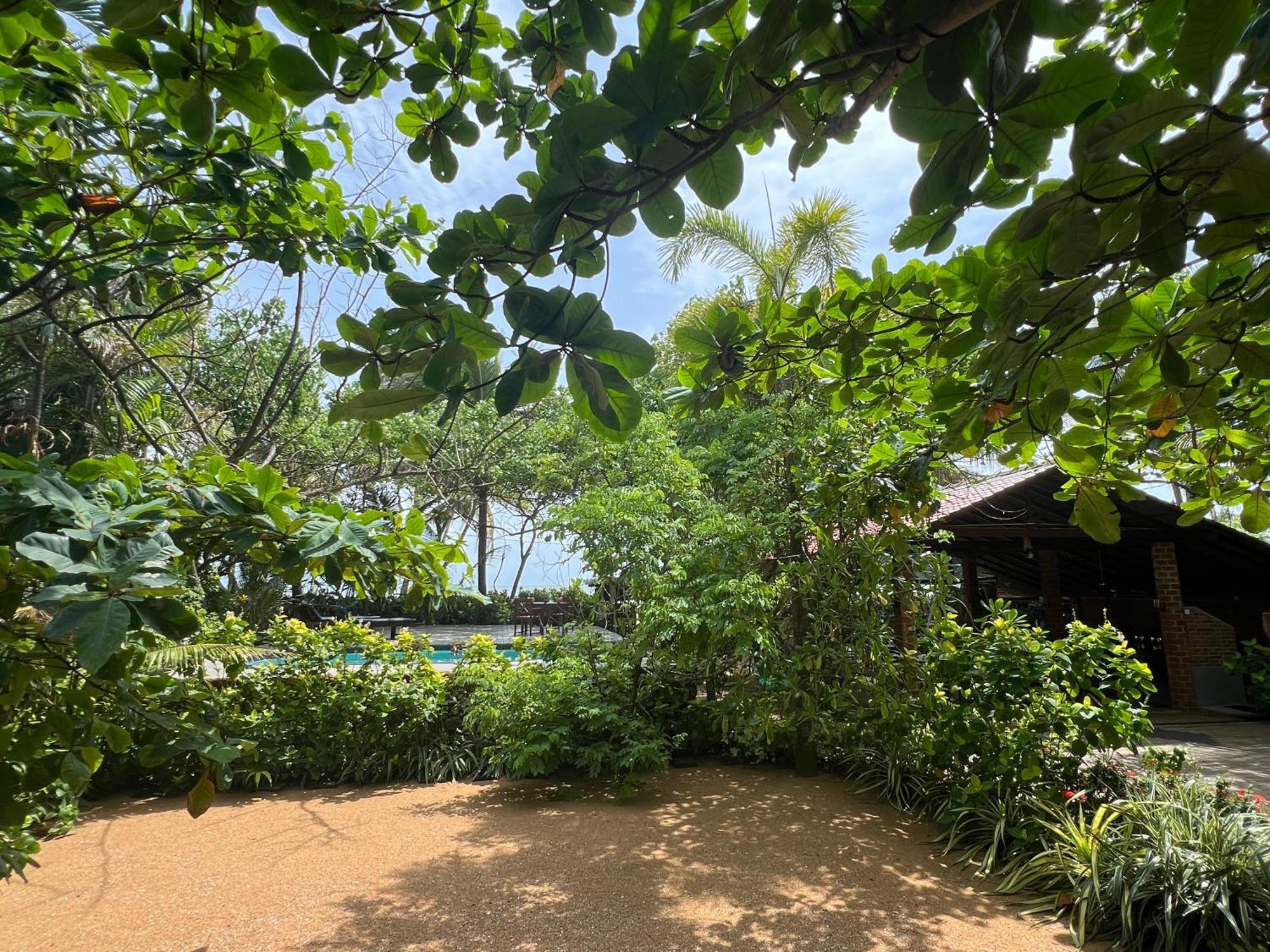 Lohas Beach Resort Villa Kalutara Extérieur photo