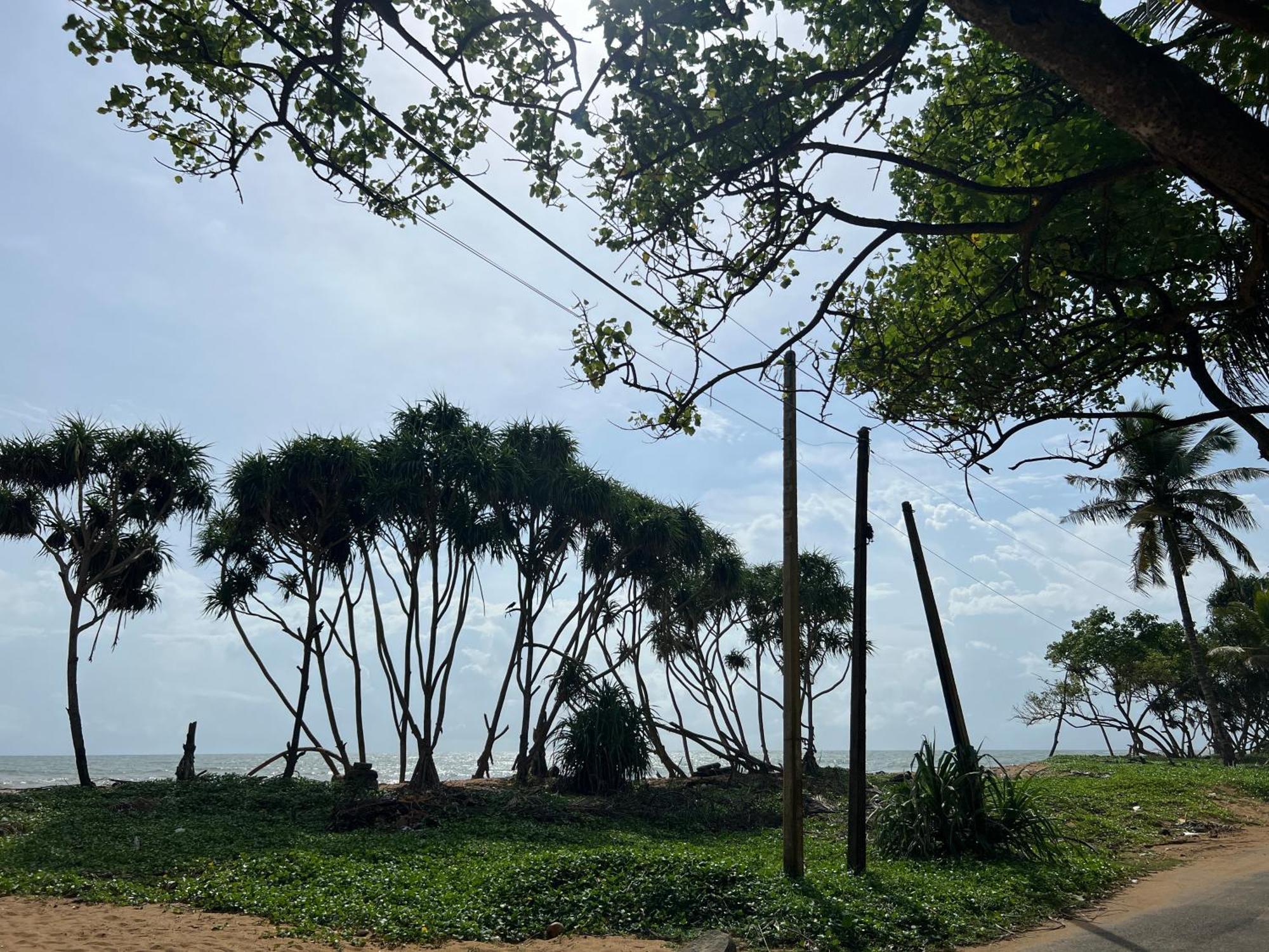 Lohas Beach Resort Villa Kalutara Extérieur photo