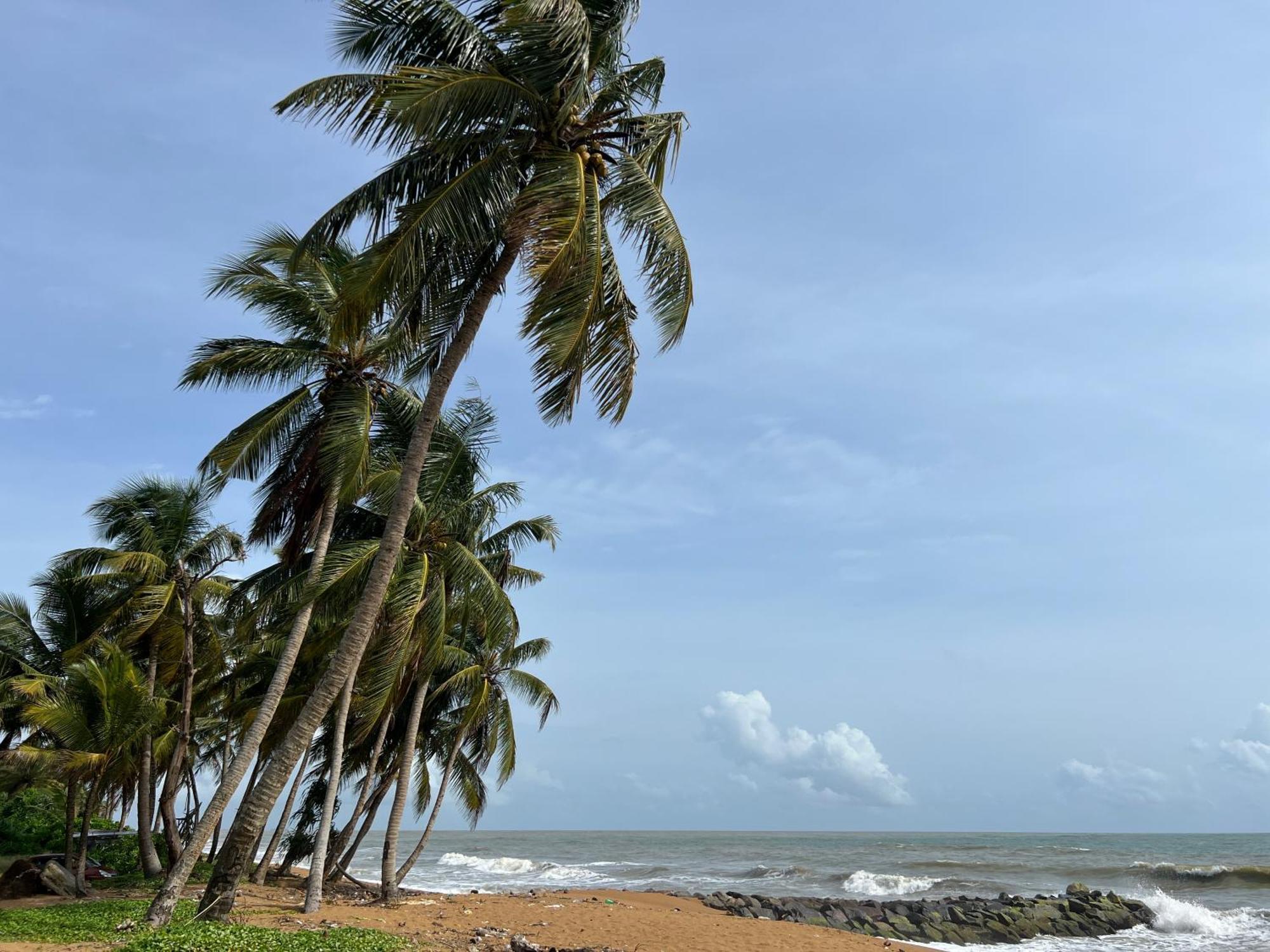 Lohas Beach Resort Villa Kalutara Extérieur photo